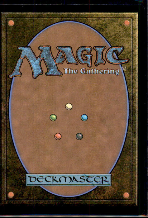 Paladin's Arms 28 Common FINAL FANTASY Magic: The Gathering Near Mint