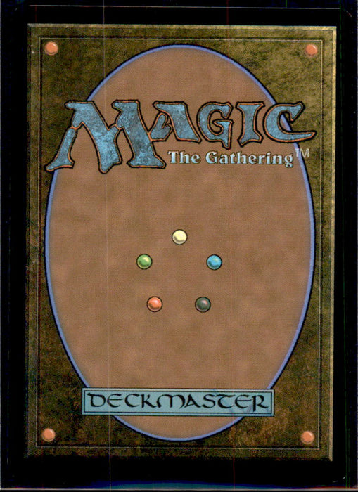 Plains (0294) 294 Land FINAL FANTASY Magic: The Gathering Near Mint