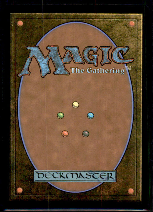 Prishe's Wanderings 193 Common FINAL FANTASY Magic: The Gathering Near Mint