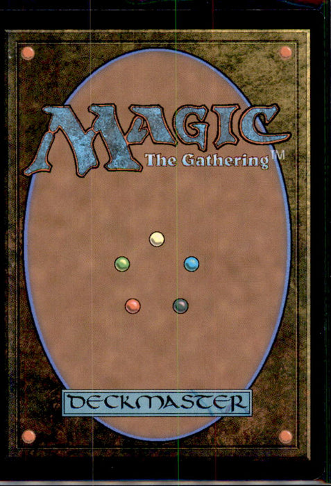 Paladin's Arms 28 Common FINAL FANTASY Magic: The Gathering Foil Near Mint