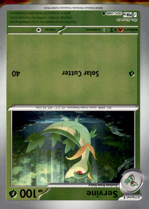 Bayleef (Energy Symbol Pattern) 009/217 Ascended Heroes Pokemon Reverse Holo NM