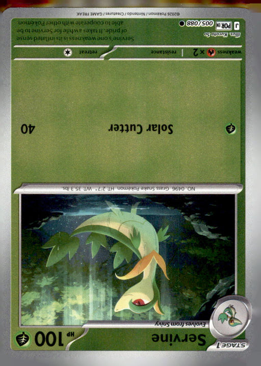 Bayleef (Energy Symbol Pattern) 009/217 Ascended Heroes Pokemon Reverse Holo NM
