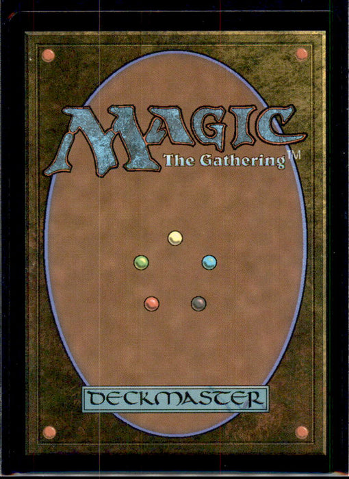 Wastes 309 Land FINAL FANTASY Magic: The Gathering Near Mint