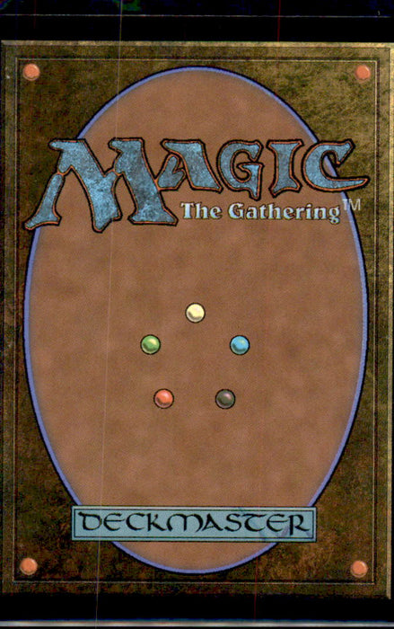 Mountain (0303) 303 Land FINAL FANTASY Magic: The Gathering Foil Near Mint