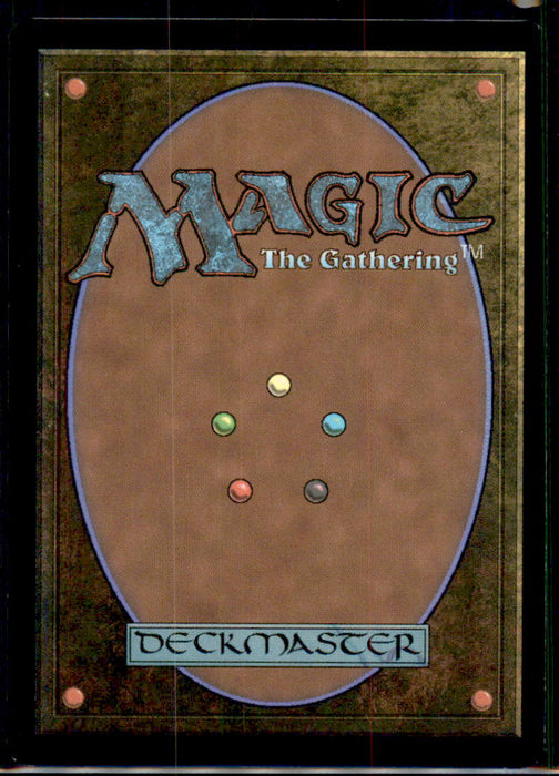 Mountain (0303) 303 Land FINAL FANTASY Magic: The Gathering Near Mint