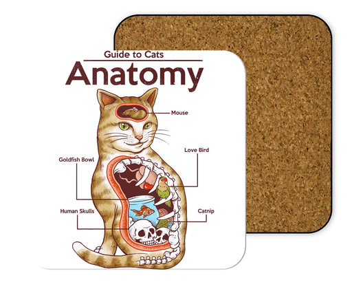 Anatomy Of A Cat Coasters