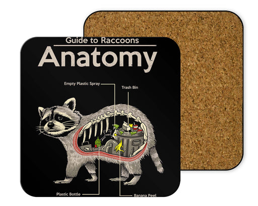 Anatomy Of A Raccoon Coasters