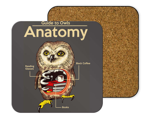 Anatomy Of Owls Coasters