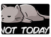 Not Today Cat Large Mouse Pad