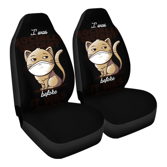 Socially Distant Cat Car Seat Covers - One size