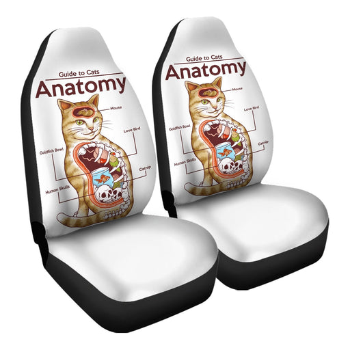 Anatomy Of A Cat Car Seat Covers - One size
