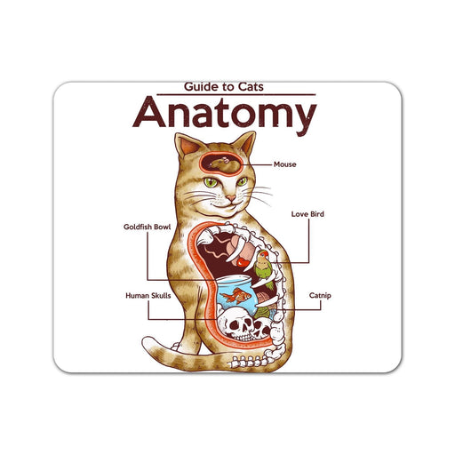 Anatomy Of A Cat Mouse Pad