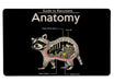 Anatomy Of A Raccoon Large Mouse Pad
