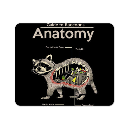 Anatomy Of A Raccoon Mouse Pad