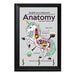 Anatomy Of A Unicorn Wall Plaque Key Holder - 8 x 6 / Yes
