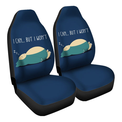 I can... but won’t Car Seat Covers - One size