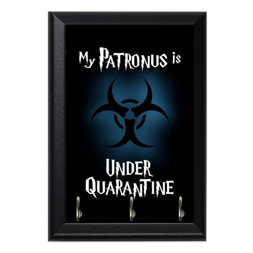 My Patronus Is Under Quarantine Key Hanging Plaque - 8 x 6 / Yes