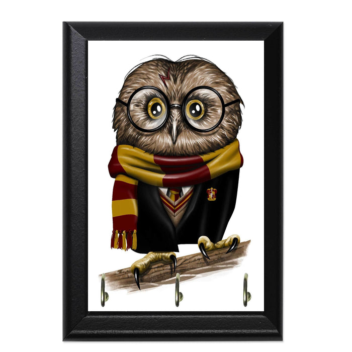 Owl Potter Decorative Wall Plaque Key Holder Hanger